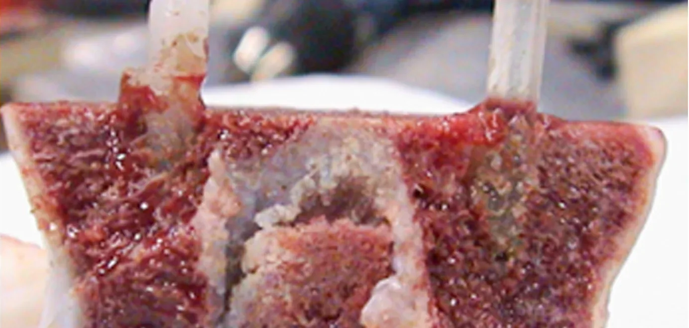 A first BoneWelding test in bone