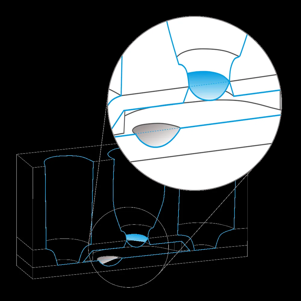 Air above, blood-like medium below, and a diaphragm that moves the cells in the rhythm of breathing