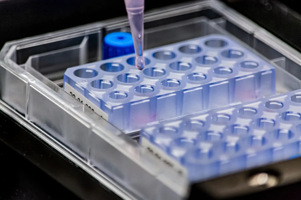 In the lab: the chip goes under an ordinary microscope, like any other plate