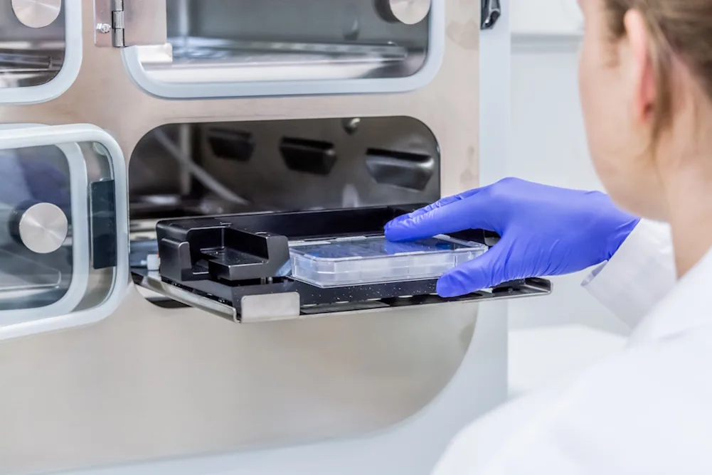 Loading a plate. Standard format was a design requirement, not a detail